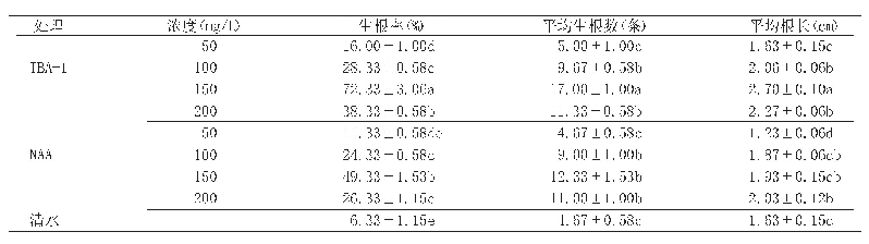 表2 6月份不同浓度IBA-1和NAA对红豆树扦插生根的影响