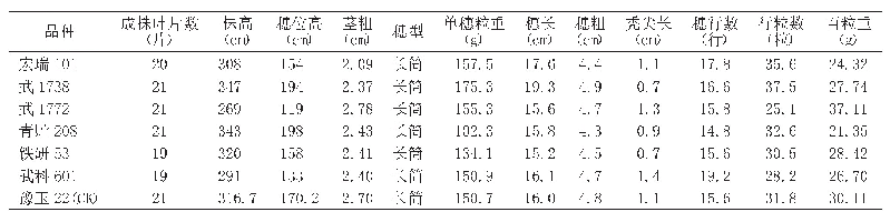 表2 青贮玉米经济性状：凉州区井灌区青贮玉米品种筛选试验研究