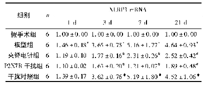 表5 各组大鼠脊髓组织NLRP3m RNA表达水平变化(±s)