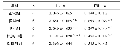 表4 各组肝脏组织IL-6、TNF-α蛋白相对表达量(±s)
