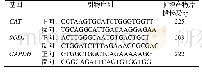 《表1 基因引物序列和片段长度》