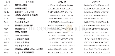 表1 13个候选内参基因和目的基因的引物序列