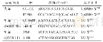 表1 PCR扩增所用引物
