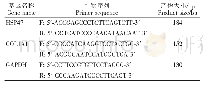 表1 RT-PCR引物序列