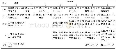 《表2 火力楠形质性状的分级标准》