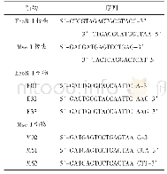 表1 AFLP所用接头和引物的序列