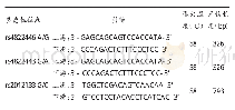《表1 各位点引物序列：巨噬细胞移动抑制因子基因多态性与子宫内膜异位症的相关性研究》