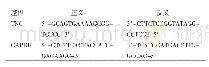 表1 小鼠TNC基因及内参引物序列