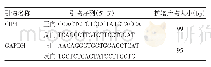 表1 引物序列：长爪沙鼠NAFLD模型中CIP4基因的表达及与β-catenin蛋白相互作用的免疫共沉淀验证