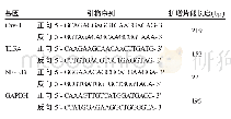 表1 目的基因引物序列：右美托咪定对大鼠机械通气相关肺损伤时小窝蛋白-1表达的影响