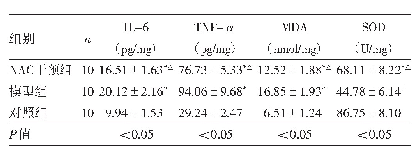 表1 3组小鼠肺组织中IL-6、TNF-α水平、MDA含量和SOD活性比较