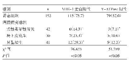 表1 胃癌及癌前病变组织中NHE-1蛋白及V-ATPase的表达[例（%）]