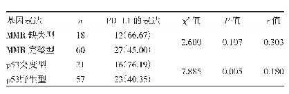 表2 PD-L1表达与MMR及p53蛋白的关系[例（%）]