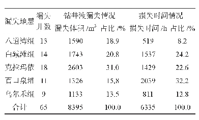 表1 2018～2019年玛湖区块二开、三开主要漏失情况