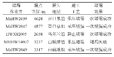 表8 玛湖堵漏作业现场试验结果