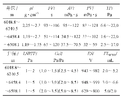 表6 塔探1井油基钻井液性能情况