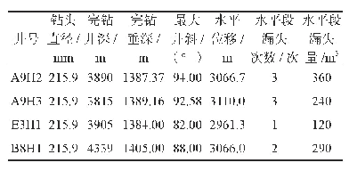 表1 D气田莺二段第一阶段大位移水平井钻井概况