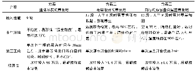 表1 施工方案比选：自行式双层叠合屋盖养生房系统在短线匹配法节段梁施工中的应用