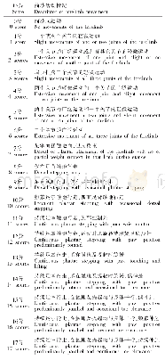 表1 前肢运动功能评分量表