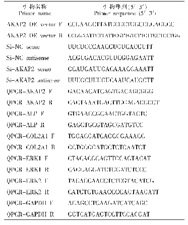 表1 引物序列：A型激酶锚定蛋白2基因表达对生长板软骨细胞功能的影响