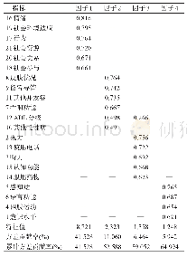 《表1 旋转后因子载荷矩阵(n=210)》