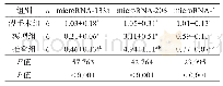 表7 21 d时各组腓肠肌各micro RNA表达比较(2-ΔΔCt)