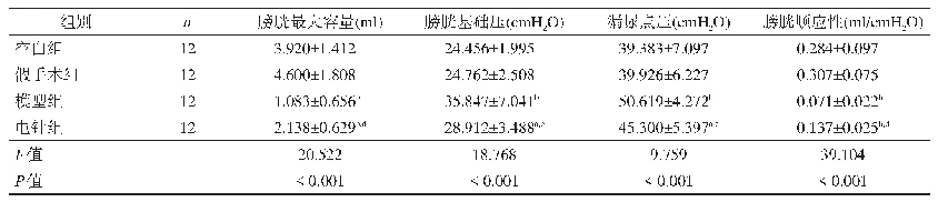 表1 各组大鼠膀胱尿流动力学指标比较