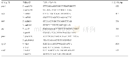 表1 管家基因名称、引物序列与片段长度