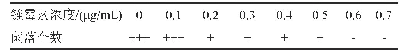 表1 不同抗生素浓度对伊尼奥小单孢菌生长的影响