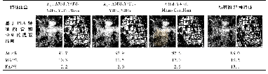 《表9 基于极化特征和纹理特征的建筑物提取结果》