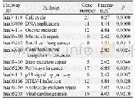 《表2 DEGs的KEGG通路富集分析》