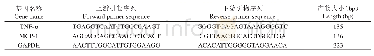 表1 特异性引物序列Tab.1 Sequence of the special primers used in this study