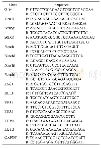 表1 qPCR引物序列：顺铂通过Notch4信号通路增强口腔鳞癌干细胞的自我更新能力