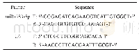 表1 q PCR引物序列