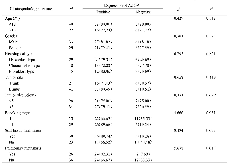 表1 AZGP1在不同临床病理特征的骨肉瘤组织中表达比较[n(%)]