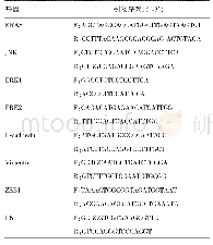 表1 各基因的PCR引物序列