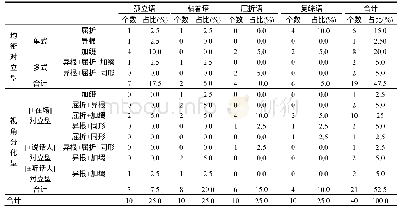 表2 人称代词的数分化模式的势力对比表