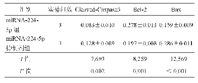 表1 miRNA-224-5p抑制剂组和miRNA-224-5p组GLAG-66细胞中Cleaved-Caspase3, Bcl-2, Bax蛋白相对表达量比较 ()