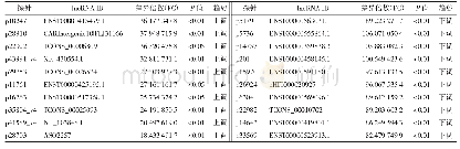 表1 食管癌差异倍数最大的前20个lncRNA