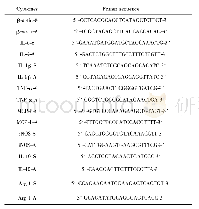 表1 β-actin、IL-6、IL-1β、TNF-α、MCP-1、i NOS、IL-10和Arg-1基因的引物序列