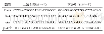 表1 Lae A、Ve A、pka及β-actin基因的引物序列