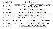 表2 粪肠球菌来源的信号肽