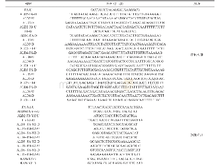 表2 本研究所用PCR引物