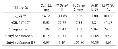 表2 β-葡萄糖苷酶纯化结果汇总