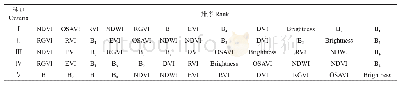 表2 5种准则下的分类特征排序