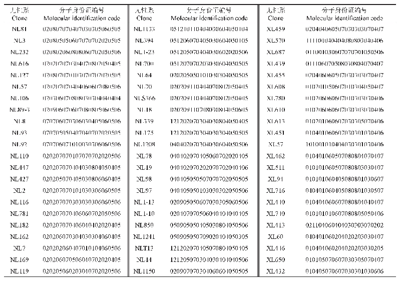 表2 141份杨树无性系种质的指纹图谱