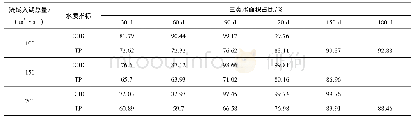 表3 各方案不同时间三类水面积占比Tab.3 Water area proportion of third type in different time of each scheme