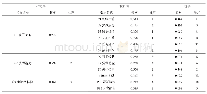 《表3 各指标权重值计算结果》