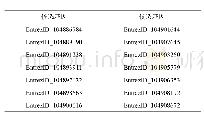 表1 14个甜菜ARF候选基因