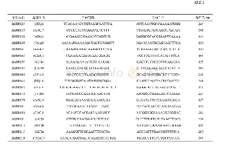 表2 多态性高甜叶菊基因组SSR标记的开发